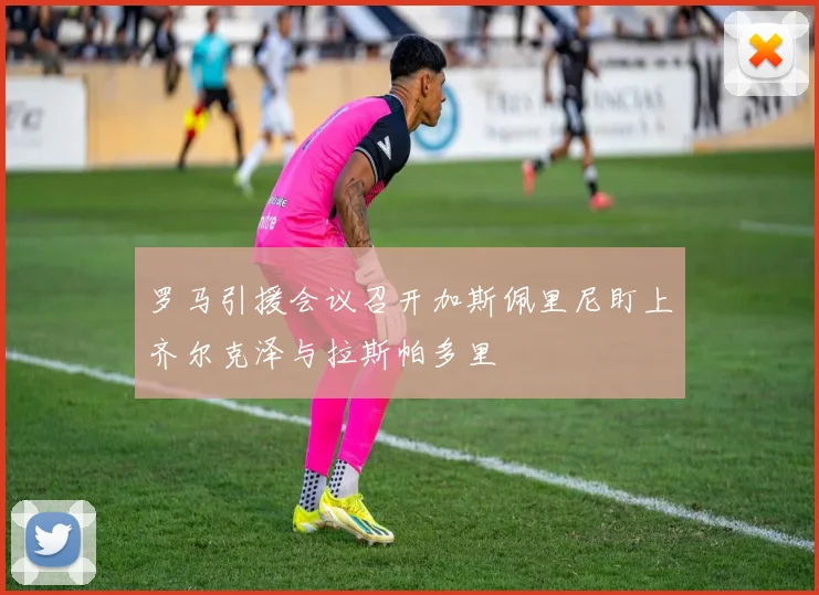 罗马引援会议召开加斯佩里尼盯上齐尔克泽与拉斯帕多里