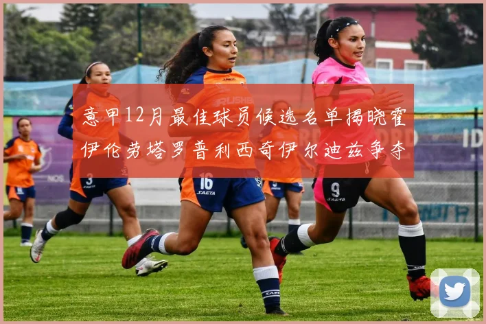 意甲12月最佳球员候选名单揭晓霍伊伦劳塔罗普利西奇伊尔迪兹争夺荣誉
